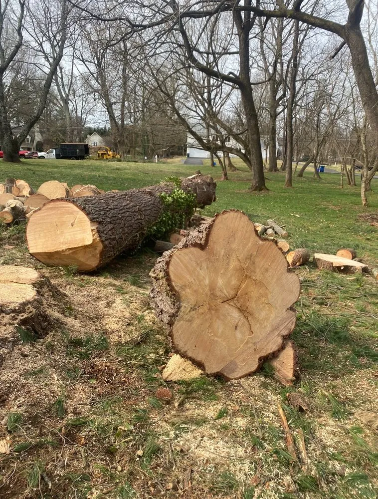 Expert lawn mowing service in Highland Beach, MD by Elite Landscaping & Tree Removal