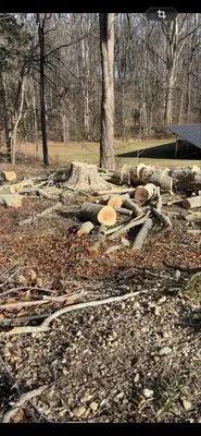 Elite Landscaping & Tree Removal