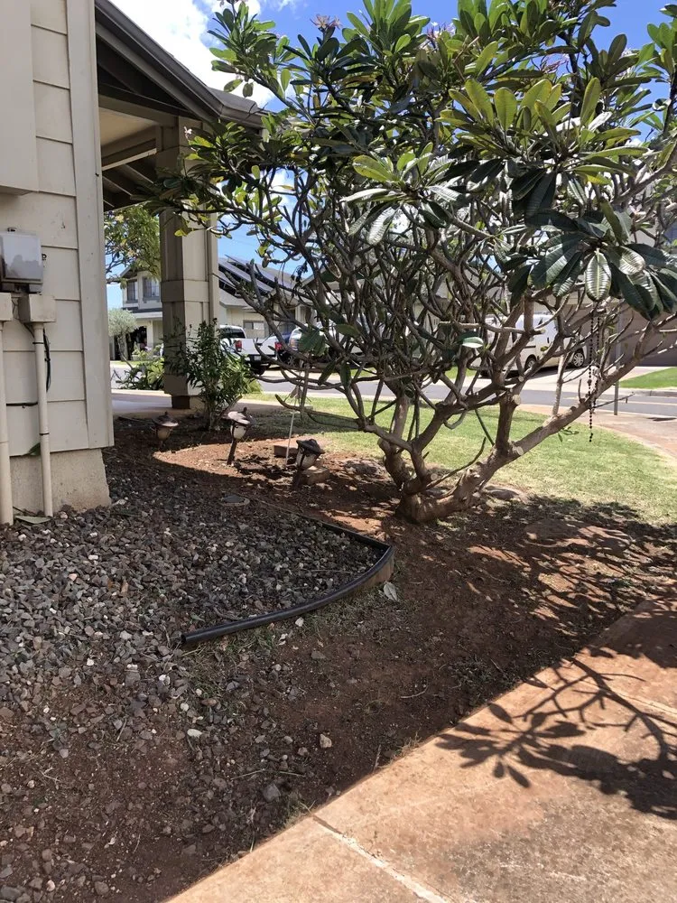 Professional landscape installation for residential properties across Staten Island, NY - Elite Landscaping & Yard Services