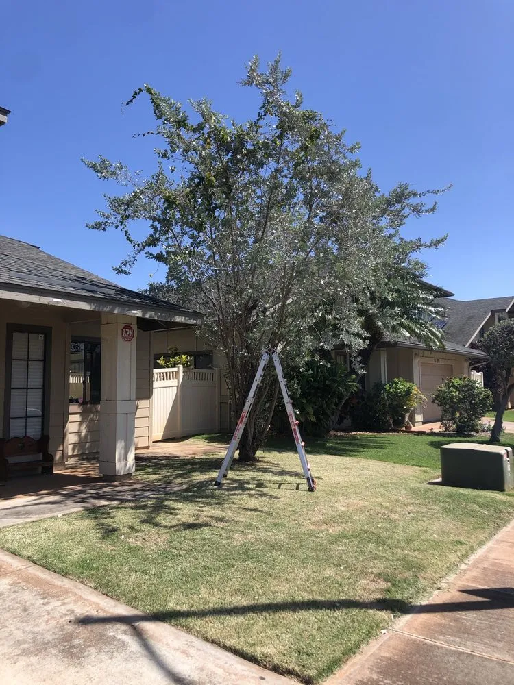 Trusted lawn mowing service in Staten Island, NY by Elite Landscaping & Yard Services