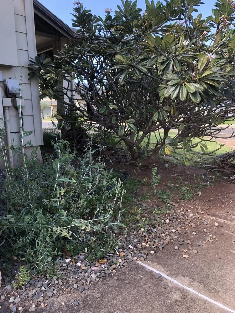 Local yard maintenance for outdoor upgrades across Staten Island, NY - Elite Landscaping & Yard Services