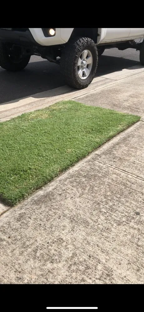 Top-rated landscape installation in Staten Island, NY by Elite Landscaping & Yard Services