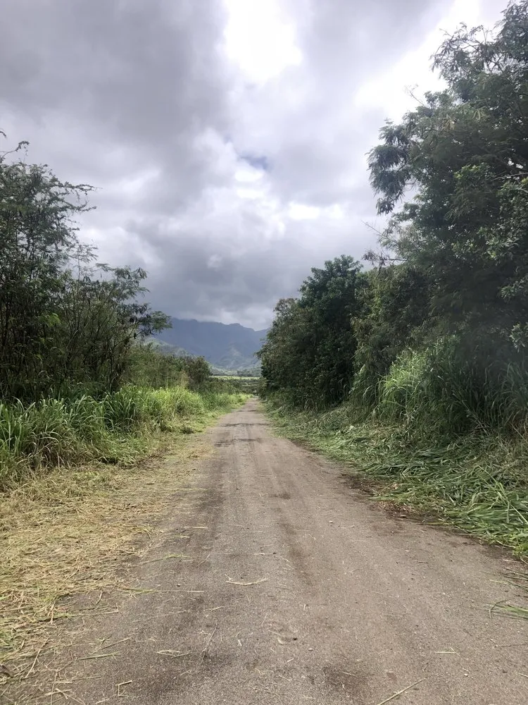 Trusted yard cleanup service for year-round maintenance in Staten Island, NY by Elite Landscaping & Yard Services