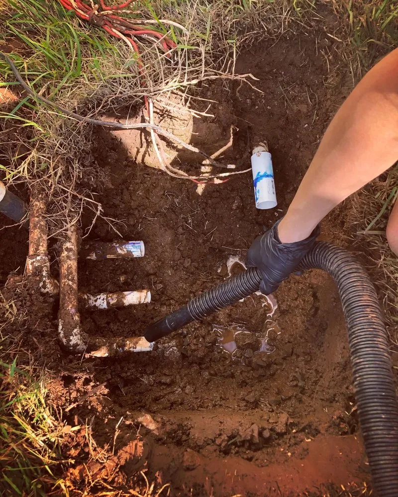 Reliable yard maintenance in Staten Island, NY - Elite Landscaping & Yard Services