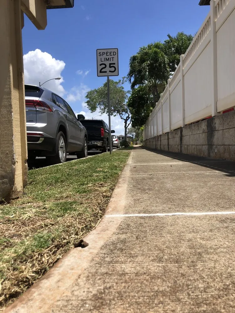 Professional yard maintenance in Staten Island, NY - Elite Landscaping & Yard Services