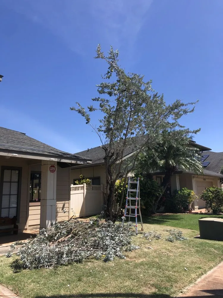 Expert yard maintenance near you across Staten Island, NY - Elite Landscaping & Yard Services