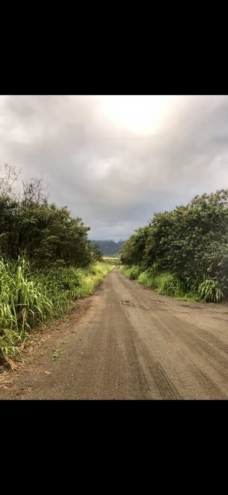 Affordable lawn care service near you in Staten Island, NY by Elite Landscaping & Yard Services