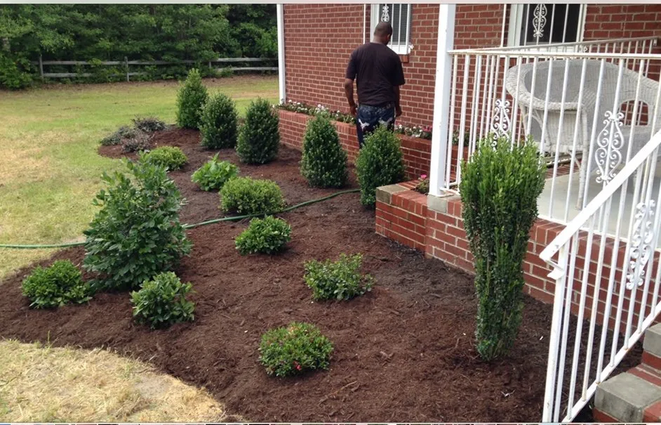 Expert yard cleanup service for beautiful yards across Winterville, NC - Elite Landscaping and Lawn Maintenance