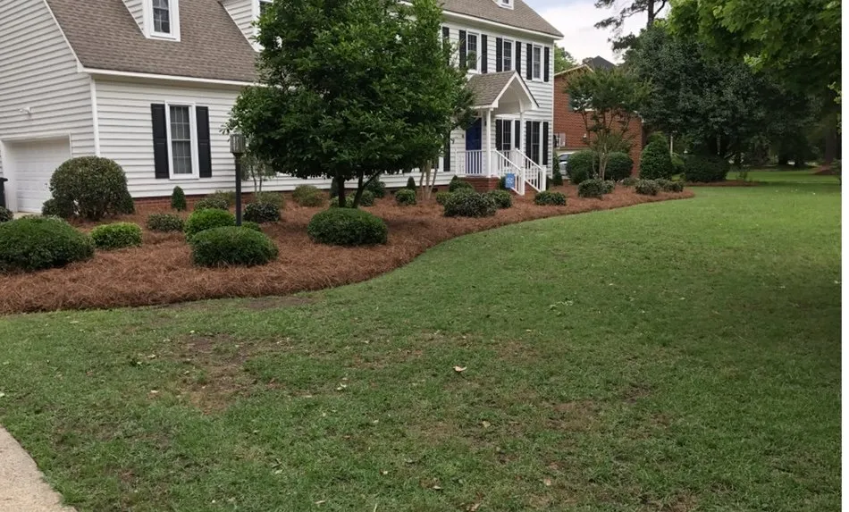 Reliable landscaping services in Winterville, NC - Elite Landscaping and Lawn Maintenance