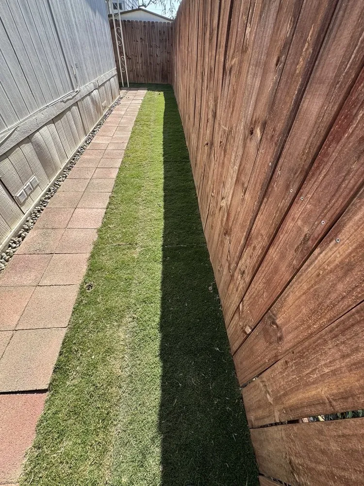 Trusted landscape design for homes across Bakersfield, CA - Elite Landscaping