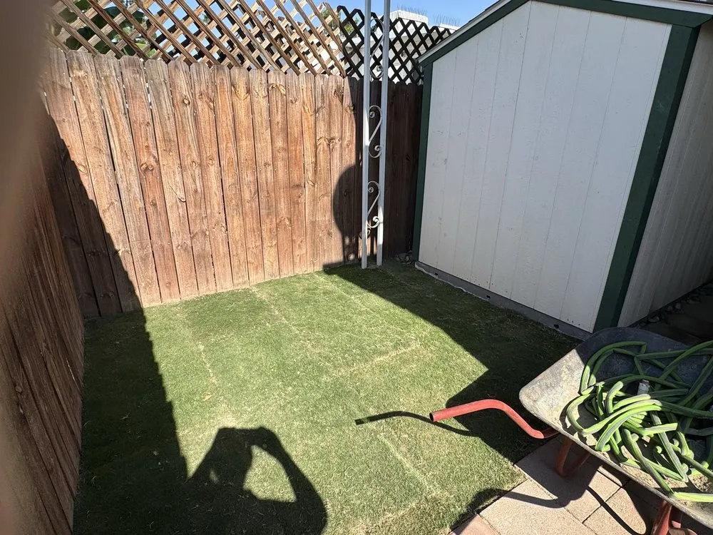 Local yard maintenance for beautiful yards in Bakersfield, CA by Elite Landscaping