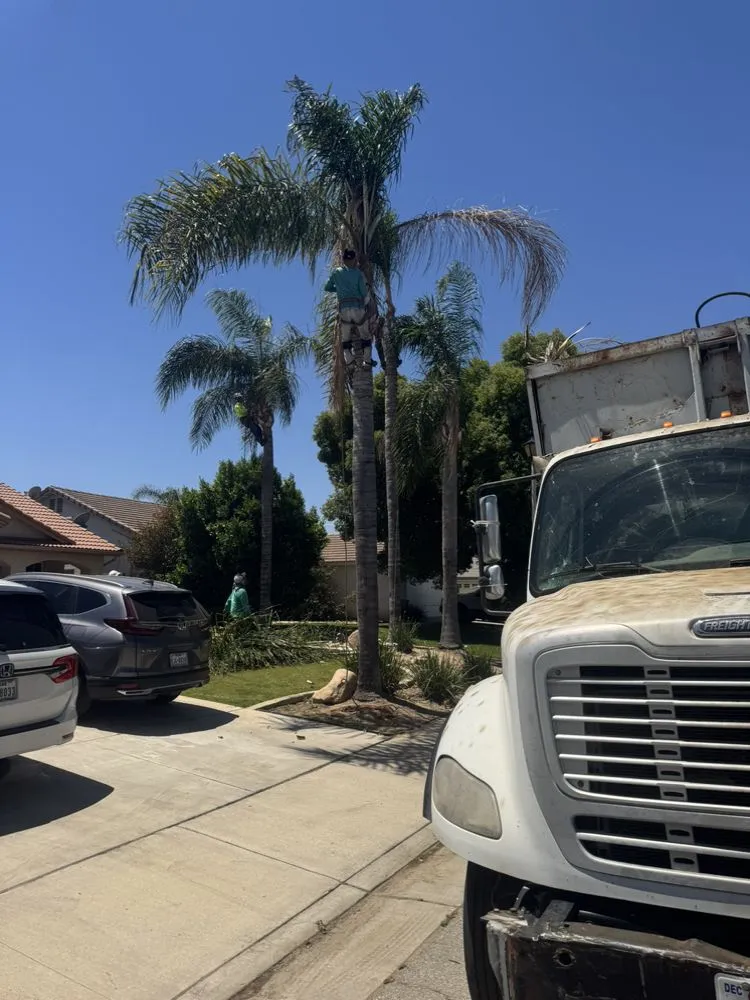 Professional residential landscaping with custom design across Bakersfield, CA - Elite Landscaping