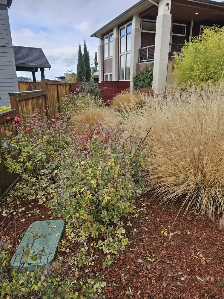Professional landscape design for beautiful yards across Beaverton, OR - Elite Landscaping