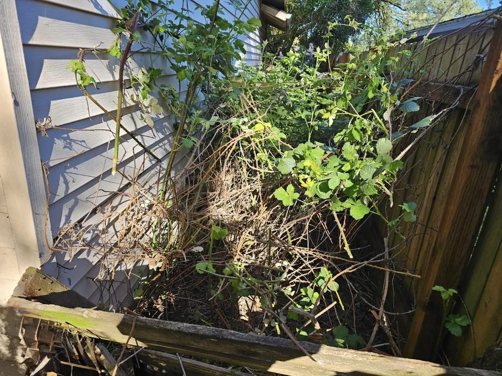 Local landscaping services in Beaverton, OR - Elite Landscaping