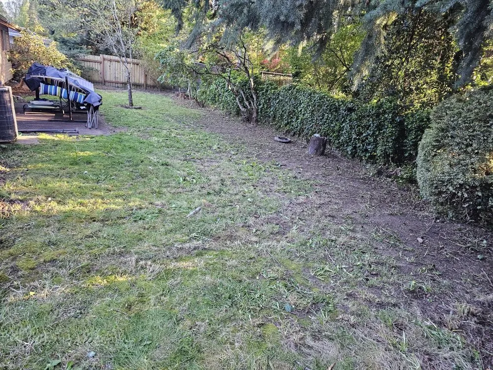 Reliable yard maintenance for year-round maintenance across Beaverton, OR - Elite Landscaping