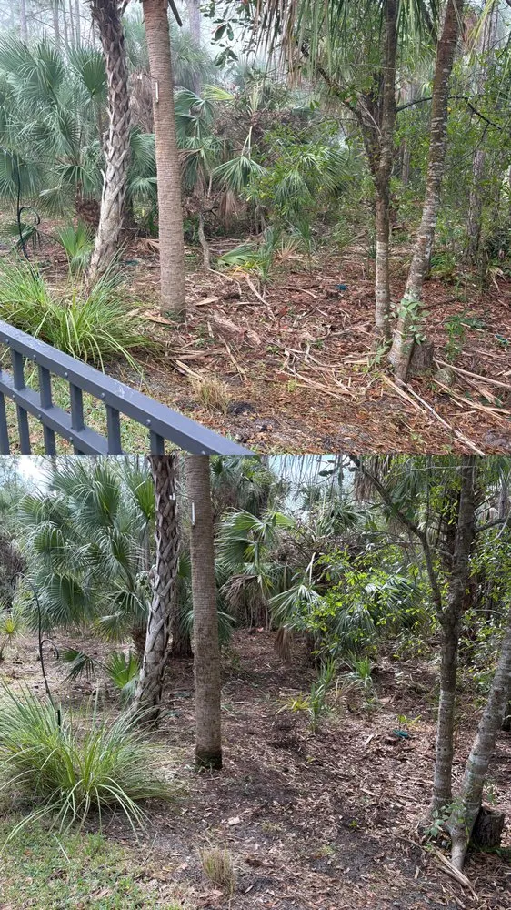 Trusted lawn mowing service experts serving Cape Coral, FL - Elite Landscaping