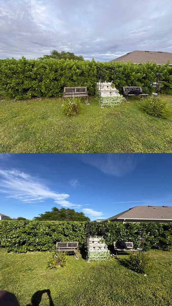 Professional landscape design in Cape Coral, FL - Elite Landscaping