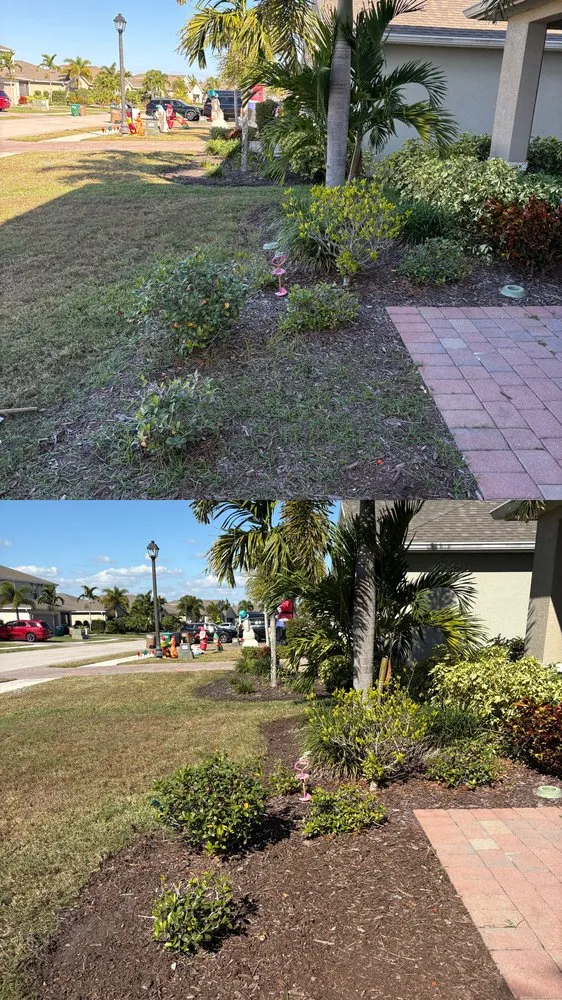 Expert lawn care service in Cape Coral, FL - Elite Landscaping