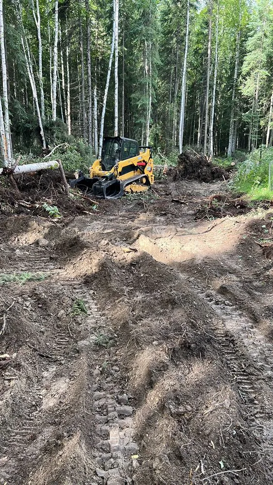 Reliable residential landscaping with custom design across Fairbanks, AK - Elite Landscaping