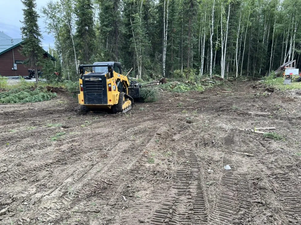Professional landscaping services for year-round maintenance across Fairbanks, AK - Elite Landscaping