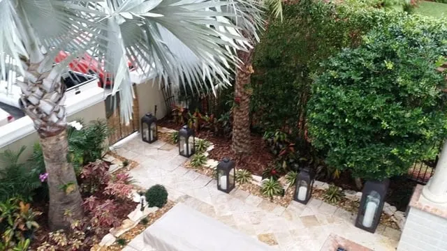 Local landscape design in Sunrise, FL by Elite Landscaping Group