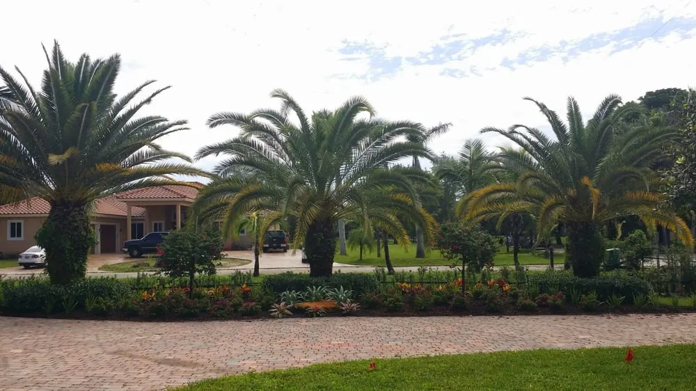 Custom garden landscaping for homes in Sunrise, FL by Elite Landscaping Group
