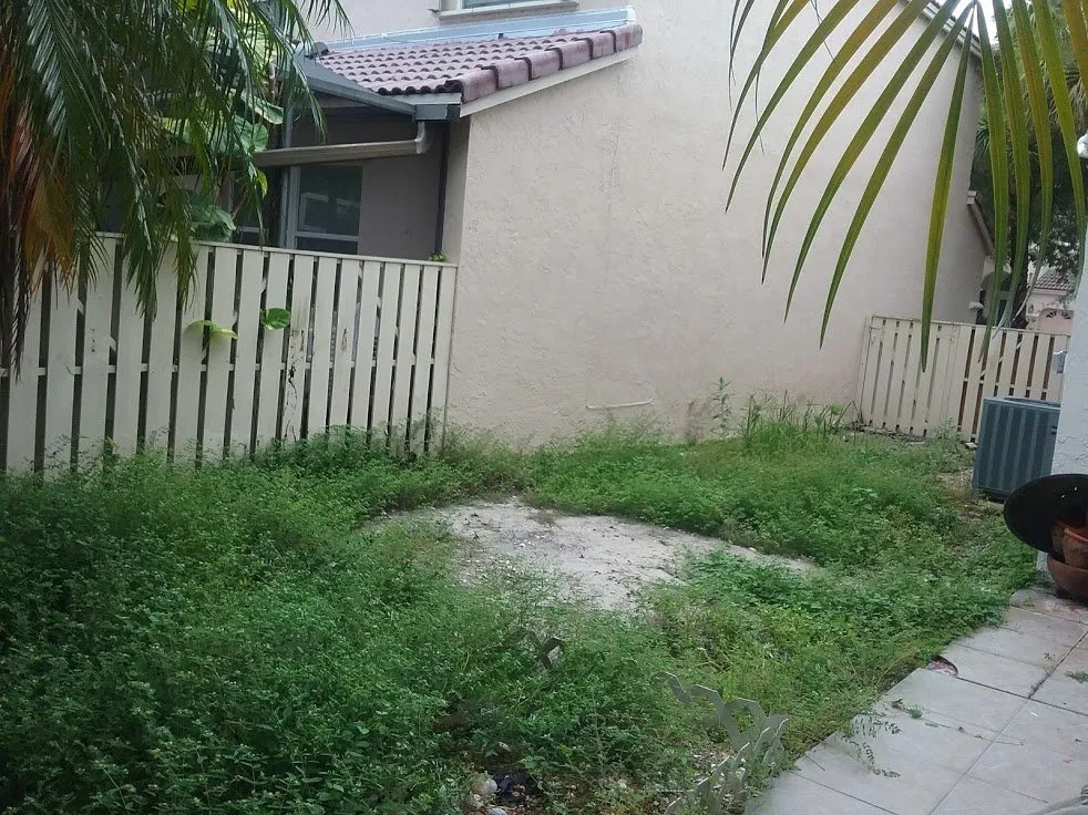 Expert lawn care service for beautiful yards in Sunrise, FL by Elite Landscaping Group