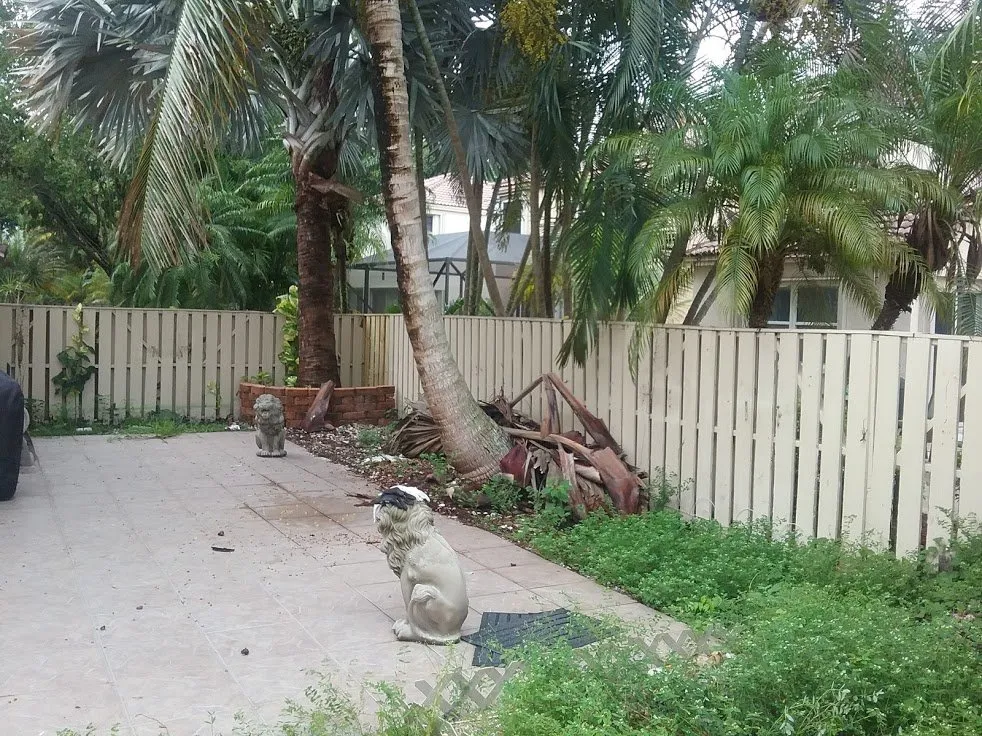 Expert yard cleanup service experts serving Sunrise, FL - Elite Landscaping Group