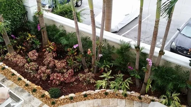 Trusted landscaping services in Sunrise, FL - Elite Landscaping Group