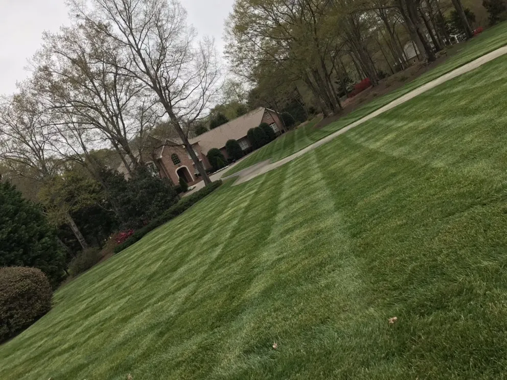 Top-rated residential landscaping for year-round maintenance in Iva, SC by Elite Landscaping