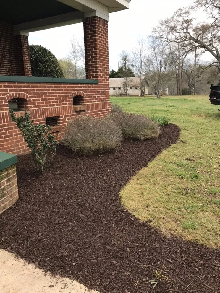 Expert yard cleanup service experts serving Iva, SC - Elite Landscaping