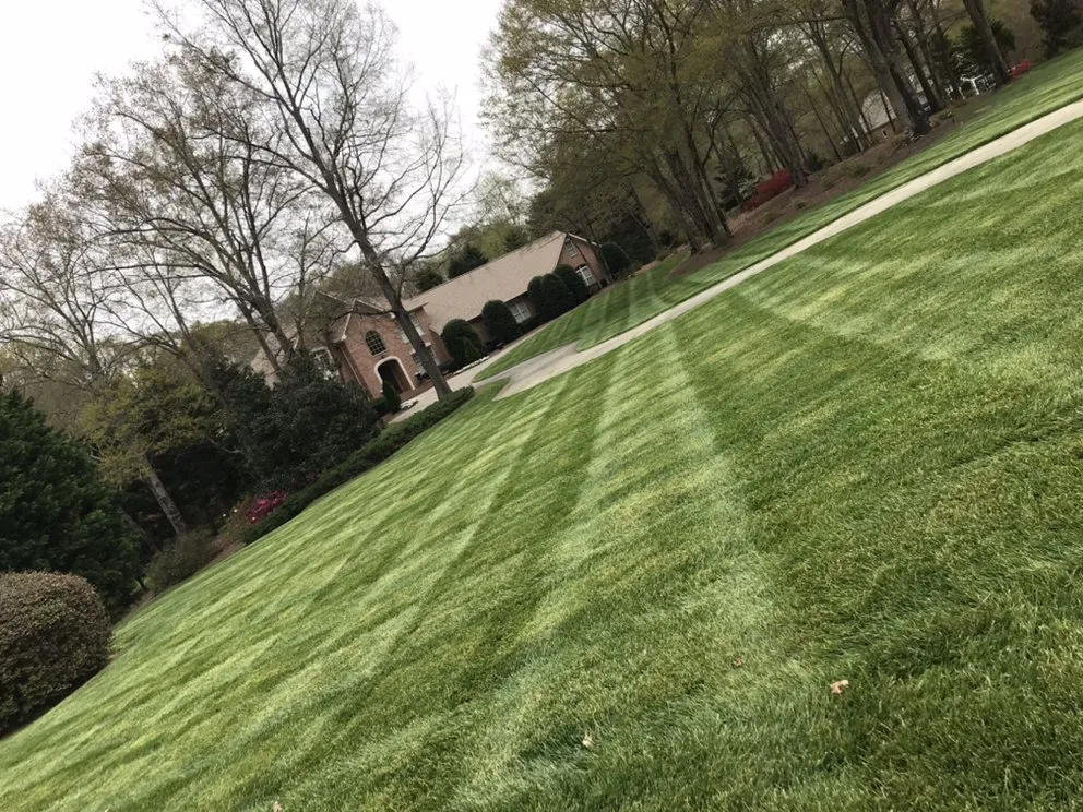 Affordable yard maintenance near you across Iva, SC - Elite Landscaping