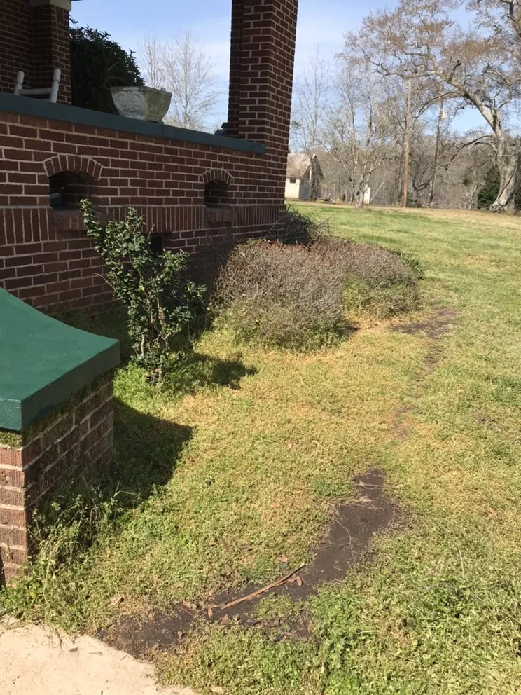 Local residential landscaping near you in Iva, SC by Elite Landscaping