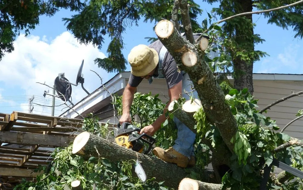 Expert landscape design for homes in Fort Lauderdale, FL by Elite Landscaping Services