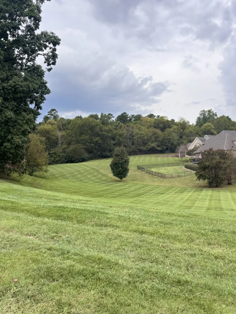 Custom landscape design for homes across Seymour, TN - Elite Landscaping