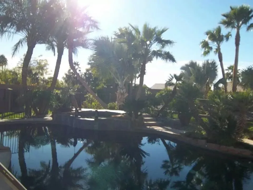 Reliable yard maintenance experts serving Yuma, AZ - Elite Landscaping