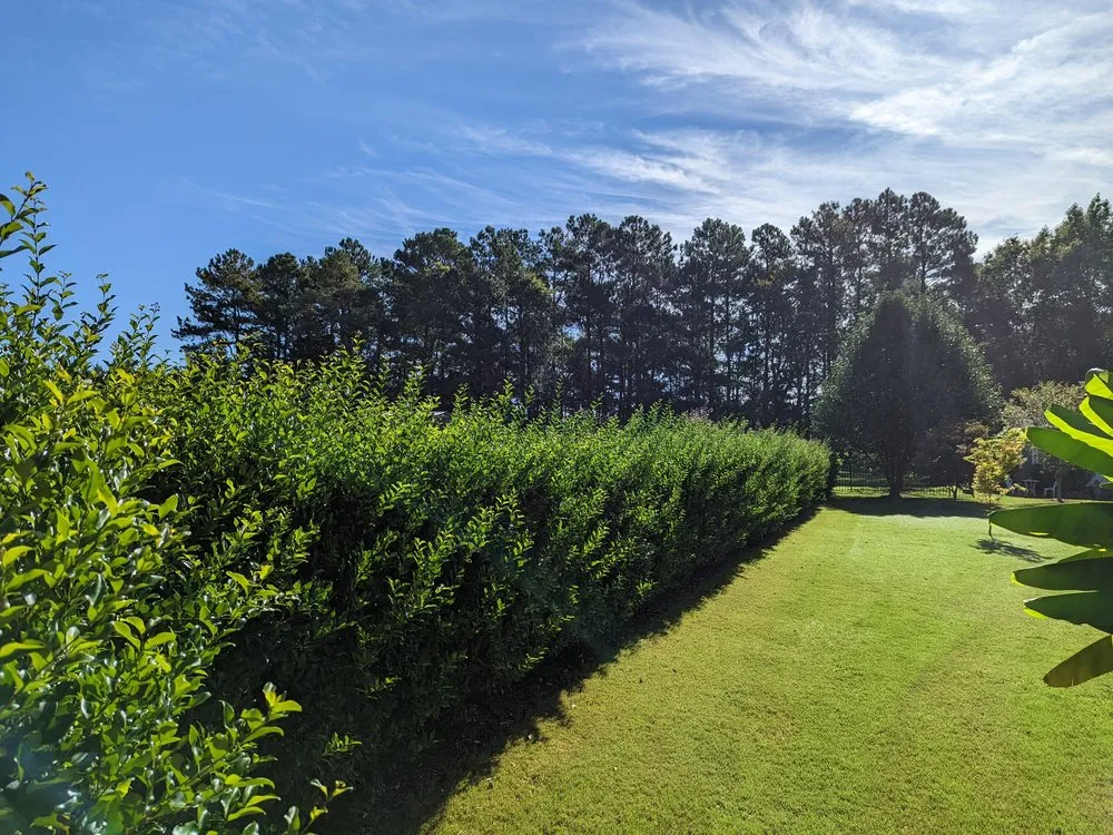 Local residential landscaping in Wendell, NC - Elite Landworks