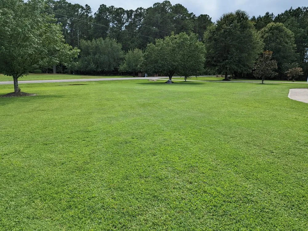 Reliable residential landscaping in Wendell, NC by Elite Landworks