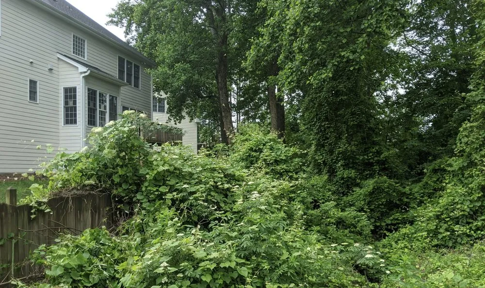 Top-rated landscape installation in Wendell, NC - Elite Landworks