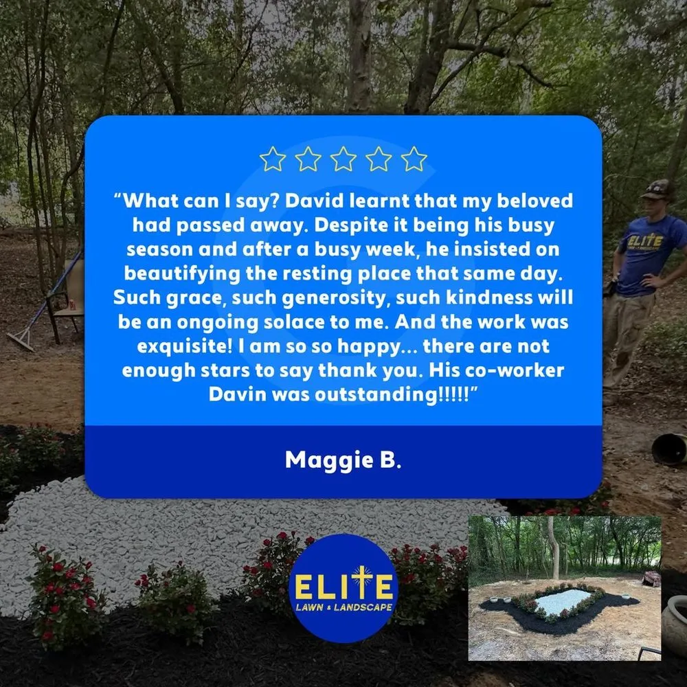 Reliable landscaping services experts serving Columbia, SC - Elite Lawn & Landscape
