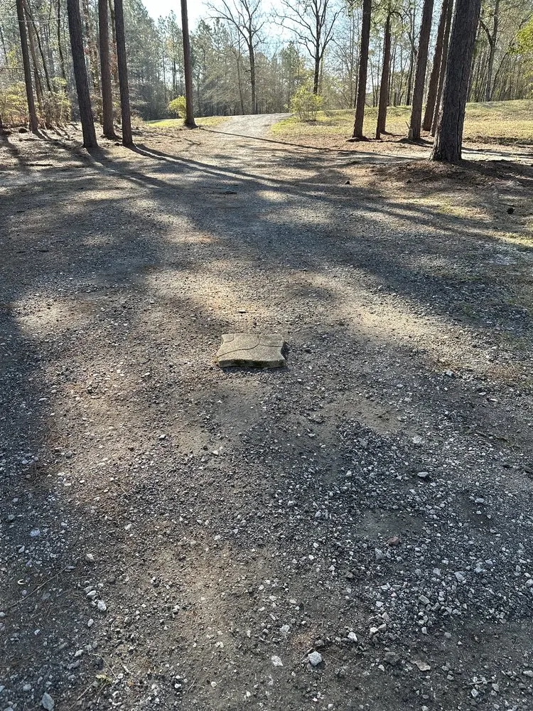 Expert landscaping services in Columbia, SC - Elite Lawn & Landscape