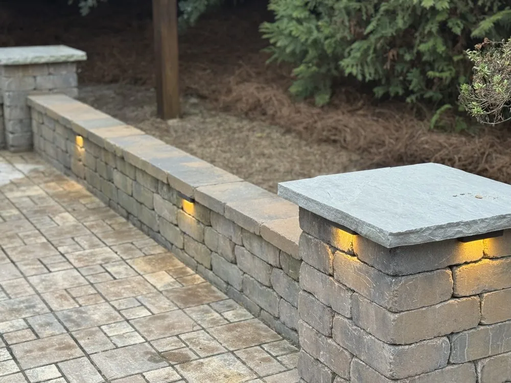 Top-rated yard cleanup service in Columbia, SC by Elite Lawn & Landscape