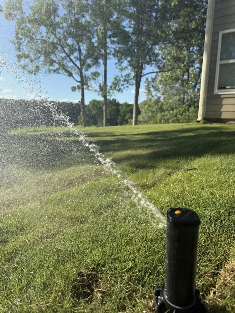 Reliable yard cleanup service for homes across Columbia, SC - Elite Lawn & Landscape