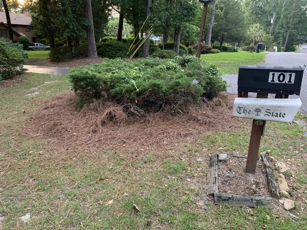 Custom yard maintenance with custom design in Columbia, SC by Elite Lawn & Landscape