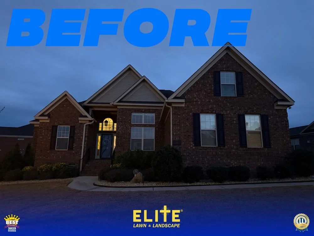 Expert landscape design for residential properties across Columbia, SC - Elite Lawn & Landscape