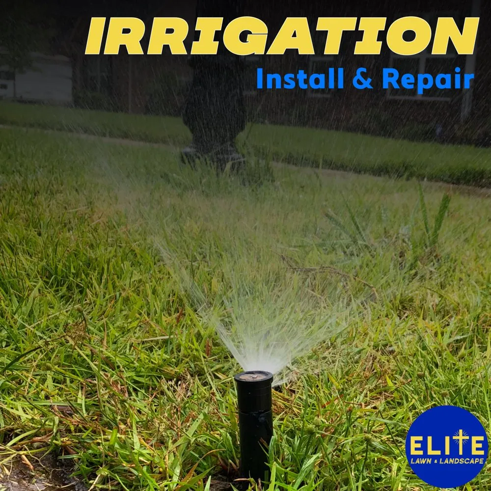 Professional landscaping services experts serving Columbia, SC - Elite Lawn & Landscape