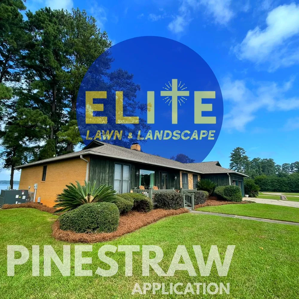 Top-rated landscape installation in Columbia, SC by Elite Lawn & Landscape