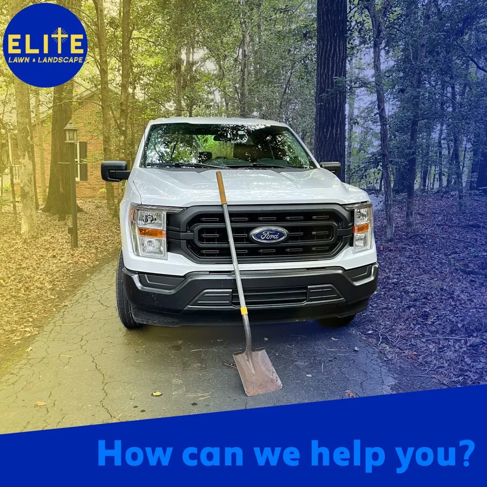 Expert residential landscaping for year-round maintenance across Columbia, SC - Elite Lawn & Landscape