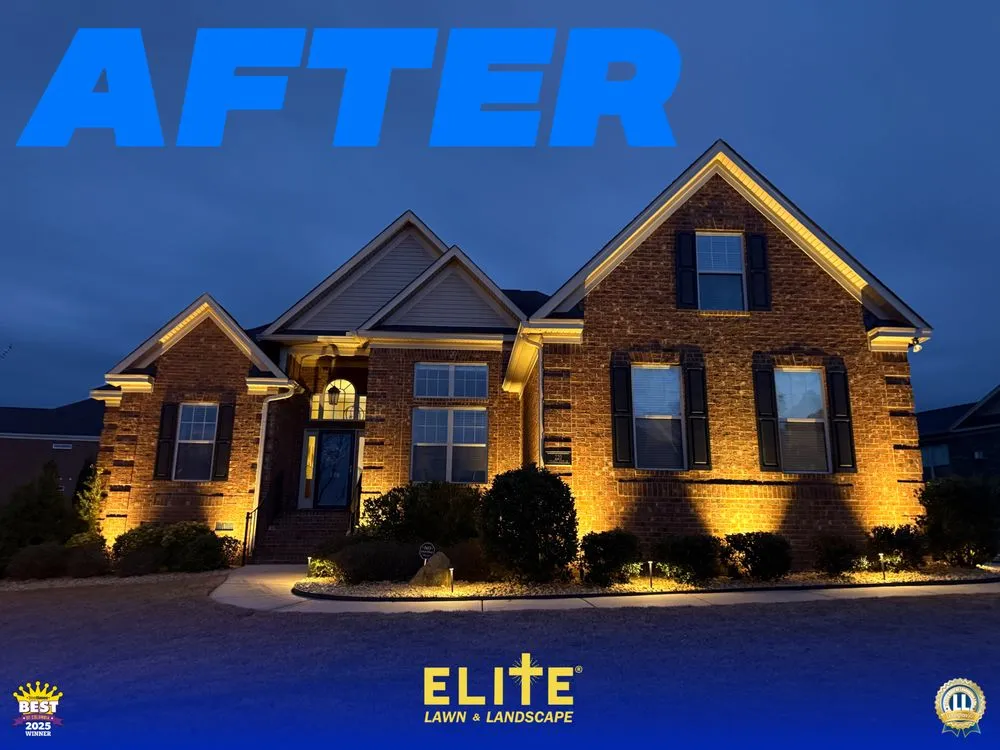 Trusted landscape installation for outdoor upgrades in Columbia, SC by Elite Lawn & Landscape
