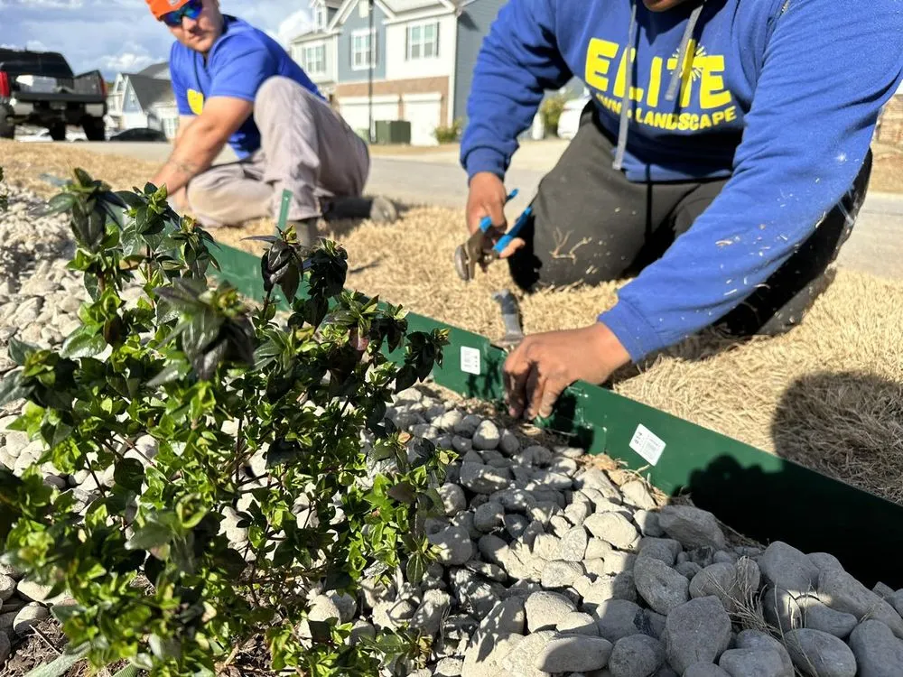 Reliable landscaping services in Columbia, SC by Elite Lawn & Landscape